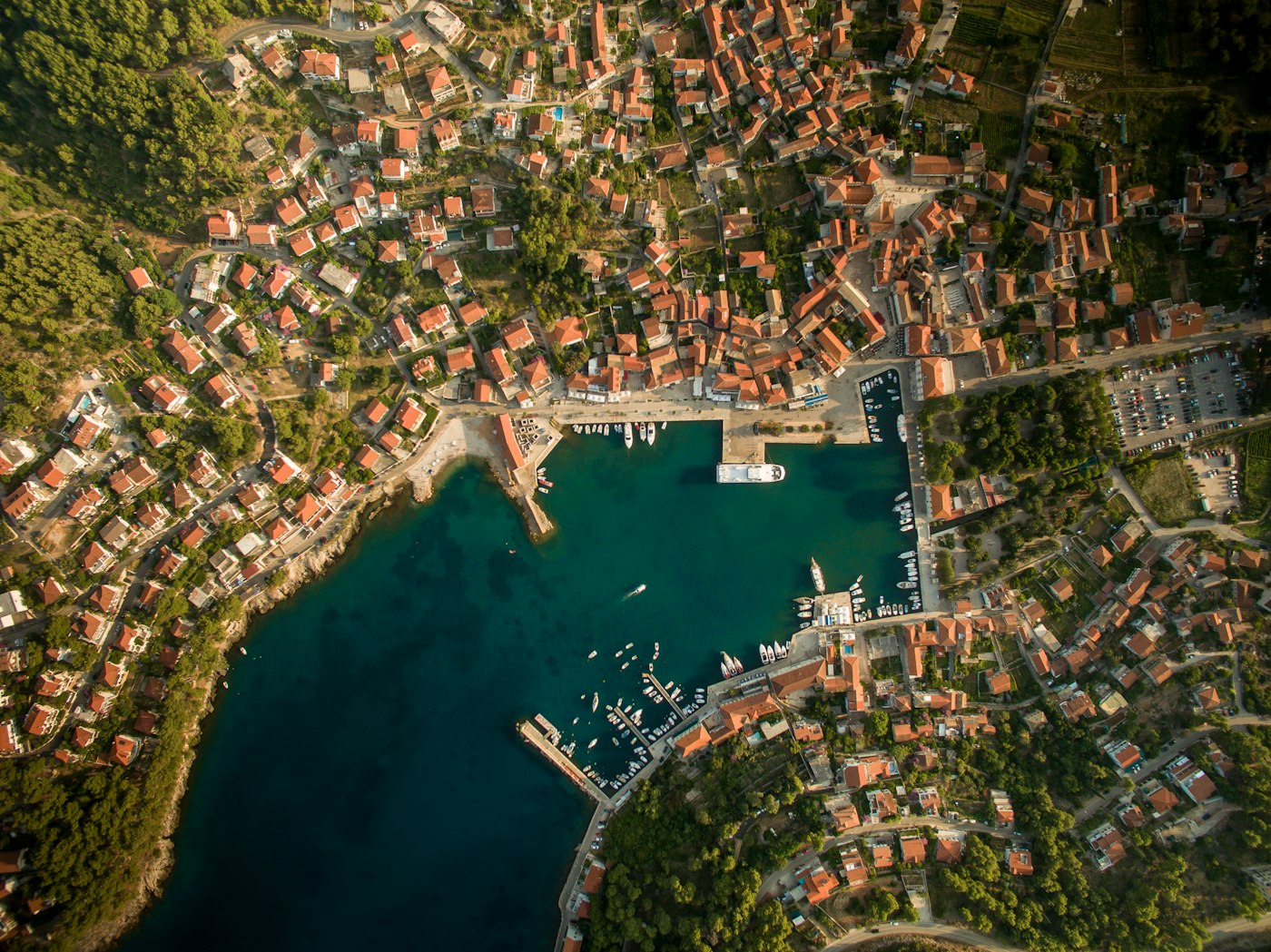 Rodinná vila s olivovým hájem